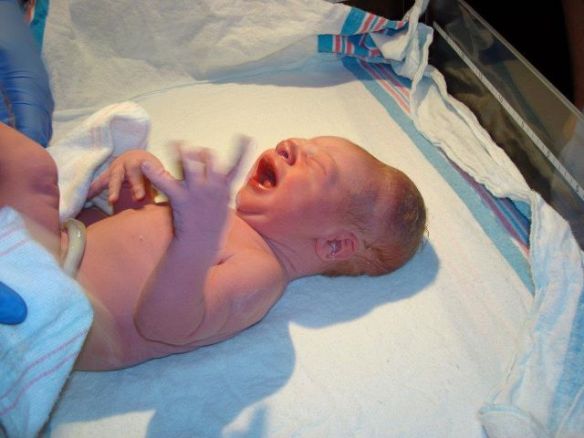 383883_10100860551399940_4904147_65374842_850709517_n