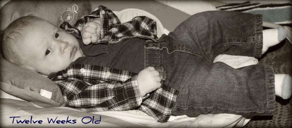 12 weeks black and white